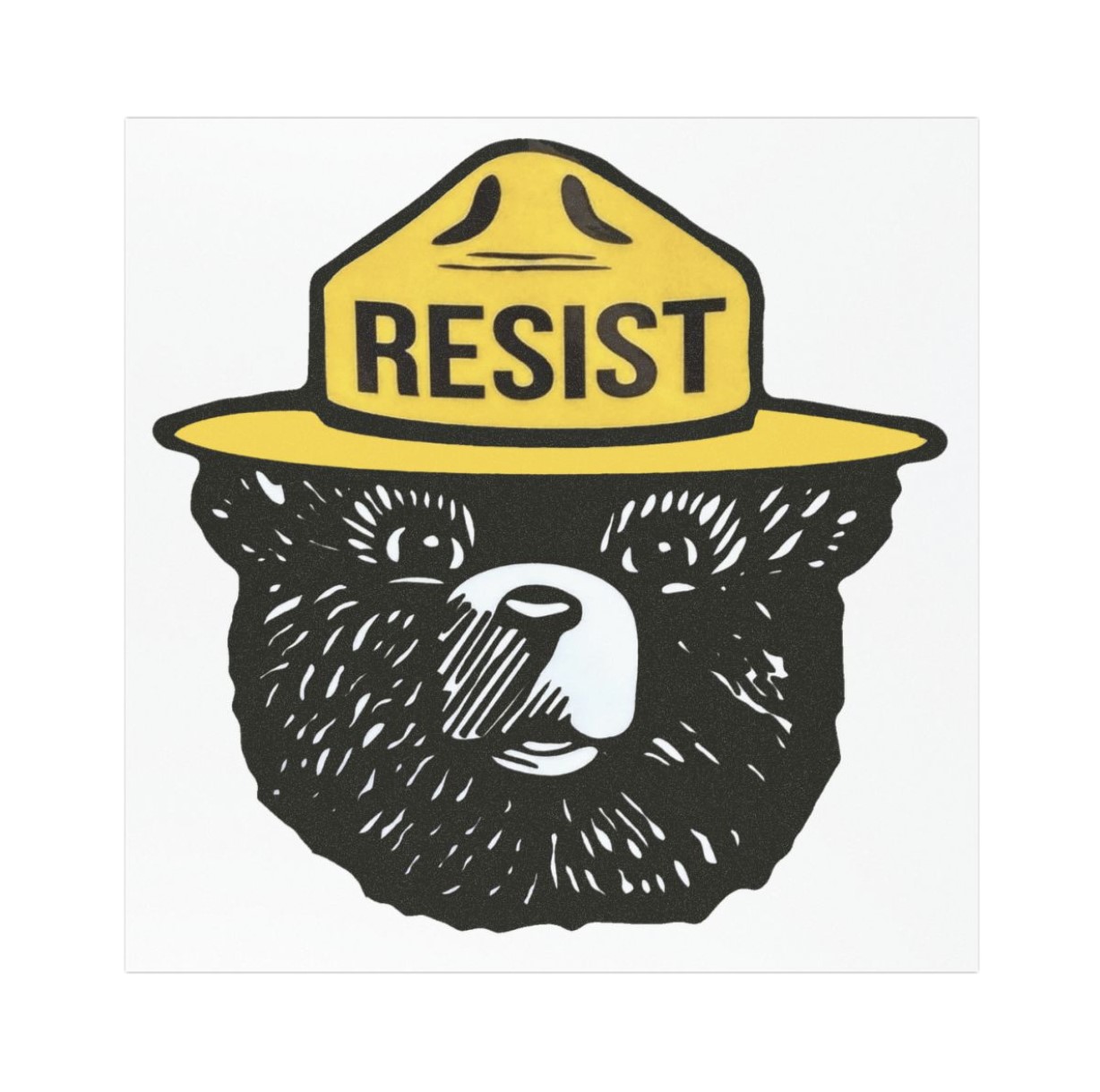Bear Resist Resistance Anti Trump Car Magnets