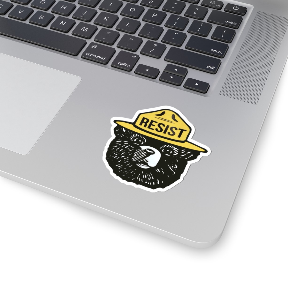 Bear Resist Resistance Anti Trump Stickers