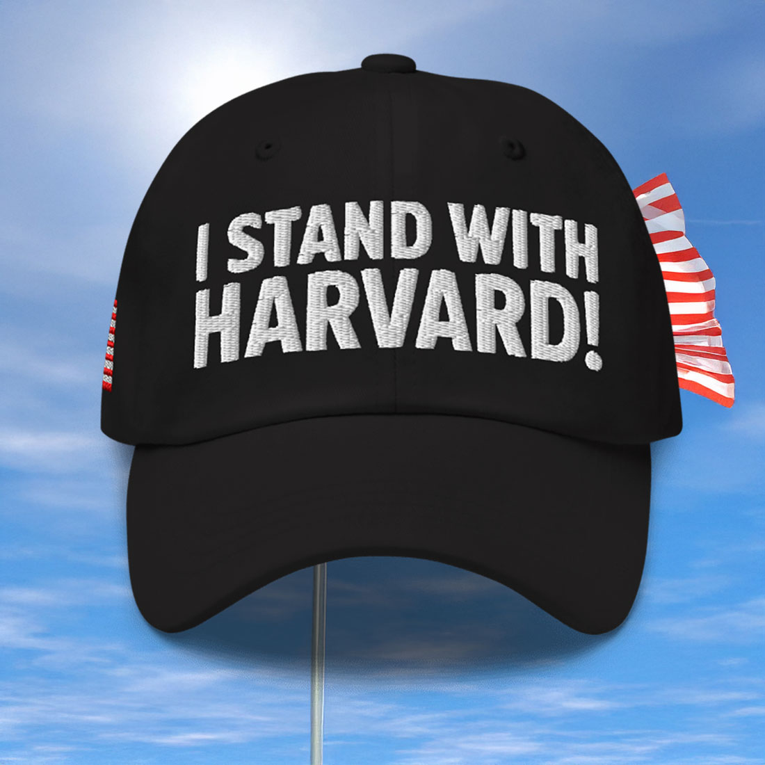 I Stand With Harvard Protest Rights Hat