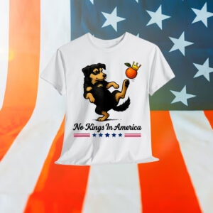 Funny Dog Tees No Kings In America We The People Political T-Shirt