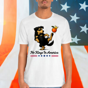 Funny Dog Tees No Kings In America We The People Political T-Shirt