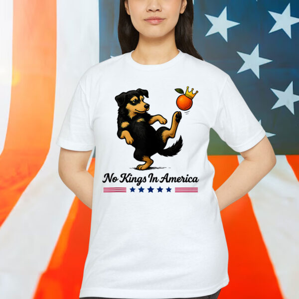 Funny Dog Tees No Kings In America We The People Political T-Shirt