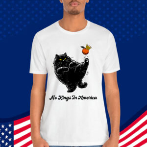 No Kings In America We The People Political T-Shirt