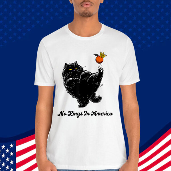 No Kings In America We The People Political T-Shirt