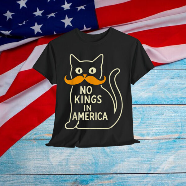 Retro June 14th No Kings In America 1776 USA Flag Black Cat T-Shirt