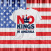 Since 1776 Protest Flag Funny Kings No America T-Shirt