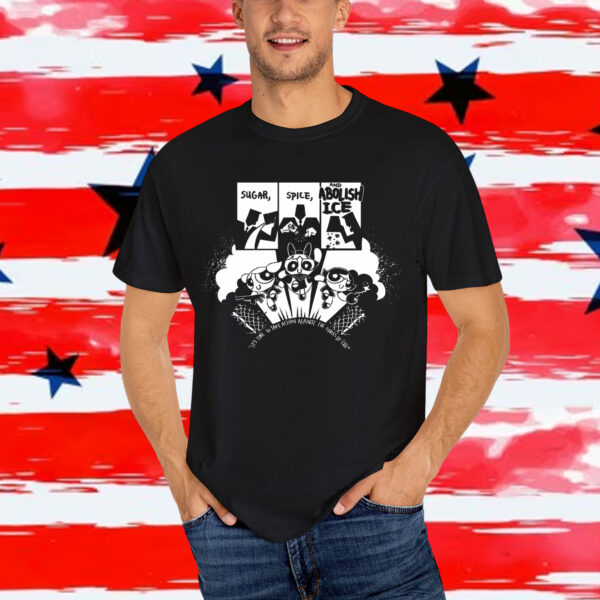 Spice and Abolish Ice Shirt